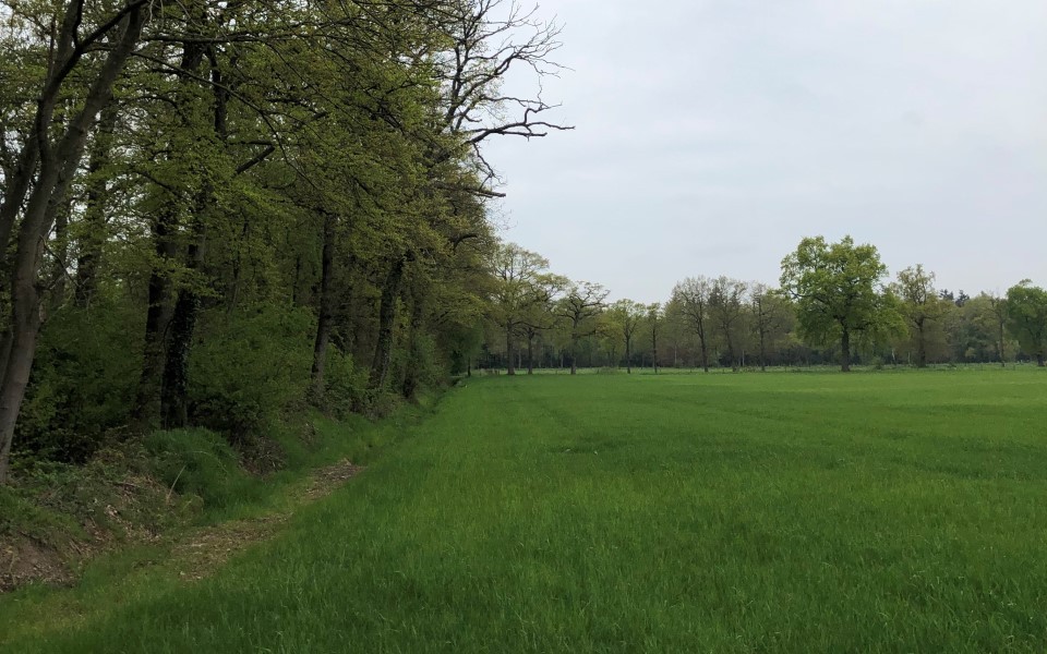 Voortgang afsluiten cavernes Twente